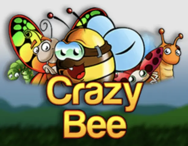 Crazy Bee Crazy Bee Slot